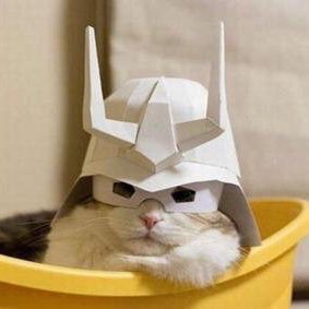 niikatsu's profile picture. 好きな言葉は｢飲み放題｣です