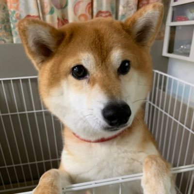 今年は鍛える