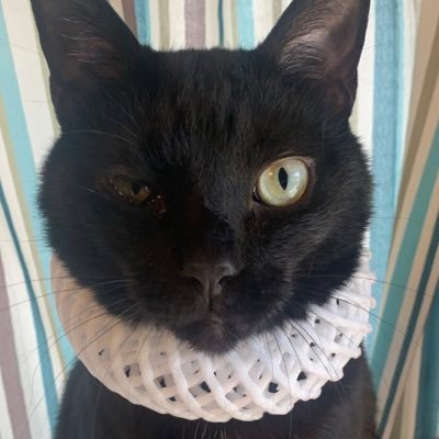 kikutiyo07's profile picture. 