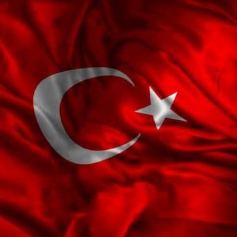 sezer39513284's profile picture. 