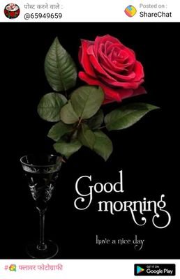 AmitBhopal2's profile picture. fun for life