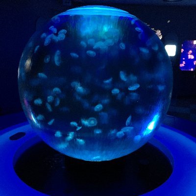 0xFUJIT's profile picture. すいすい水路