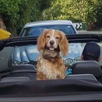 Valerie davies (@valpark13) 's Twitter Profile