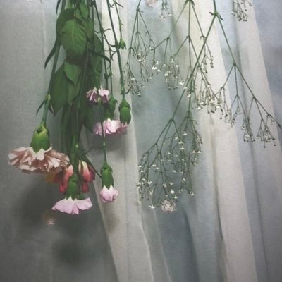 MayuT44065346's profile picture. 趣味垢🥀