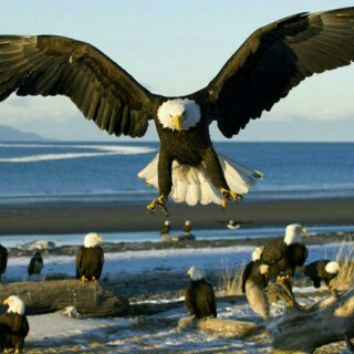 respect_ncube's profile picture. 