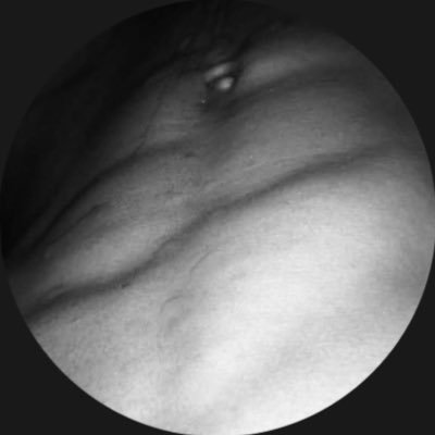 lek173's profile picture. 23y / chama na DM 👀