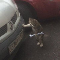 Secret Service (@indoveler) 's Twitter Profile