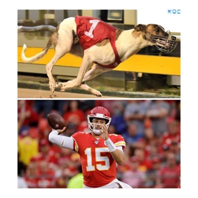 For too long the betting agencies have dominated its time to come out of the cave and get something back for the day to day punter. Greyhound and NFL tipster.