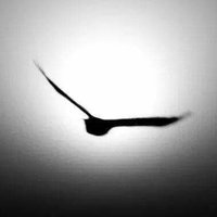 Llanos Rodríguez (@lla_rod) 's Twitter Profile Photo