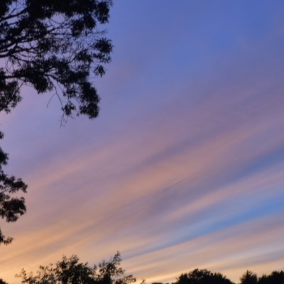 cmjllj's profile picture. n