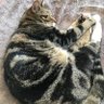 lucymadavis's profile picture. LRC Manager @F6thLRCs             Loves reading, loves nature, loves learning and tries to get the most out of everyday!