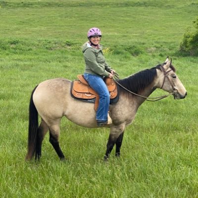 DrTumlin's profile picture. Giving voice to human-horse interactions.