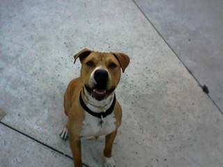 Elhoopty's profile picture. .