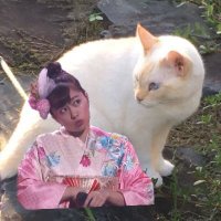 める (旧ふらいぱん) ゴリパン信者 (@a_rinpan) 's Twitter Profile