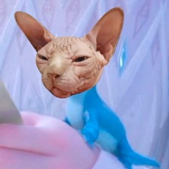 ไอกิ้ดยูさんのプロフィール画像