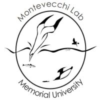 Montevecchi Lab (The Other Guys)(@MontevecchiLab) 's Twitter Profile Photo