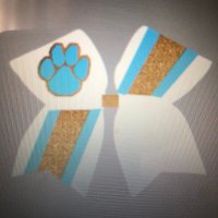 LCMR Football and Basketball Cheer (@lcmrcheer) 's Twitter Profile