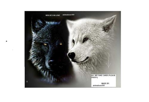 whitewolves1215's profile picture. hi im kaylee i have two dogs tundra,tyson and i luv miranda cosgrove she ROCKS! and i also have alot of collectables i love nature and my family   Whitewolvz-