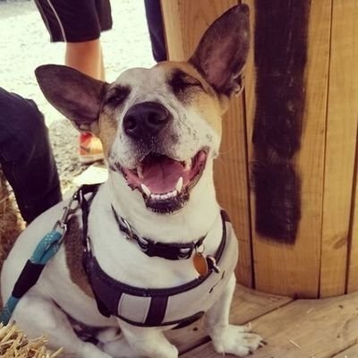 TheCapoCarl's profile picture. 