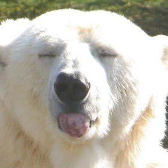 ○坊呂_飛燕さんのプロフィール画像