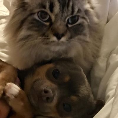 httr703's profile picture. just looking