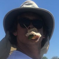coot (@cunderscorerob) 's Twitter Profile