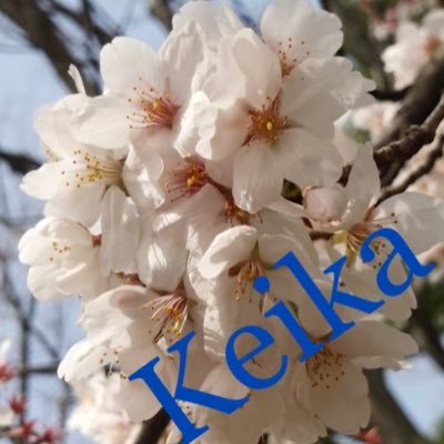 けいか(Keika)さんのプロフィール画像