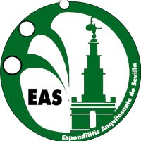 Espondilitis Sevilla (@espondilitiseas) 's Twitter Profile