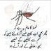 Asif (@asif07699625) Twitter profile photo Asif (@asif07699625) Twitter profile photo
