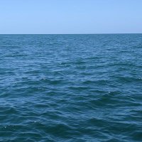 Rachel Berkland (@berkrac) 's Twitter Profile Photo