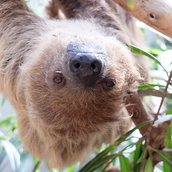 fuzzytrading1's profile picture. 