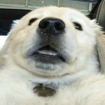 kozverr's profile picture. 🇩🇰 #ToTheStars