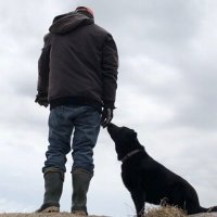 Chris James (@cjames55149) 's Twitter Profile