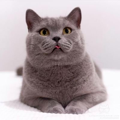 DJ__YA's profile picture. ‏‏‏‏‏‏‏‏،، نضيق لگن نكتم الهم بمزوح
واذا غدر فينا الزمان ابتسمنا..! ،، ⁦🇲🇽⁩‎💛〽️⁩

‎#Logistics ‎#SupplyChain ‎#AirCargo #AFK