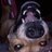 Michaelbower1's profile image