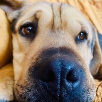 Antony (@aec92) 's Twitter Profile