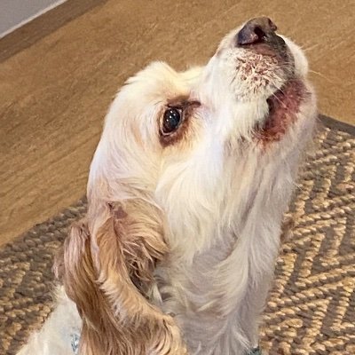 PlasSusan's profile picture. Mom, Wife and Dog Lover