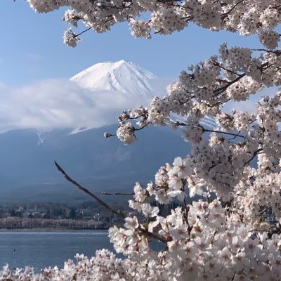 山本太郎のような政治家は戦後私の知る限りいなかったのではないか!本気で国を想い国民を想い身を捨ててでもという真剣な気持ちが伝わってくる。 5年前に一人で政党を立ち上げここまで来た、まだまだこれから賛同する人々が増えて来る事でしょう。自民党を脅かす政党に成長することを期待し願っております。(団塊世代の爺)。