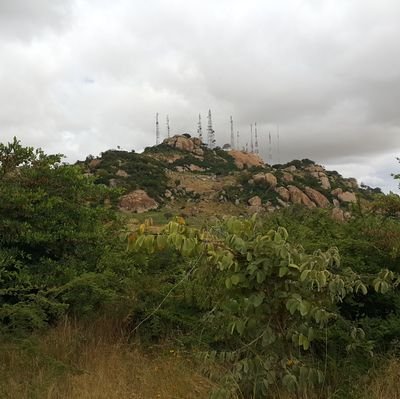 AhmedRa19713277's profile picture. 