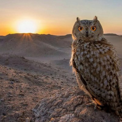 YansimAnaliz's profile picture. Yeni hesap

İyi niyetli insanların düşüncelerini okumak,