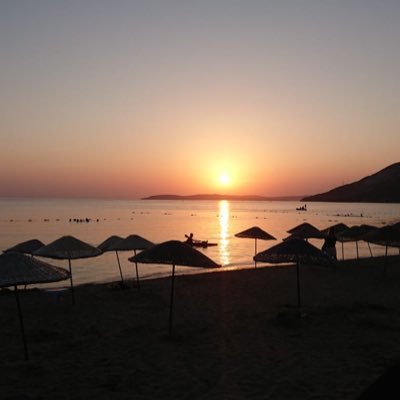 ErolllBey's profile picture. .