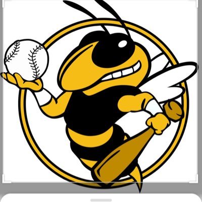 Yellow Jackets Baseball, Buford High School, located in Lancaster County SC.