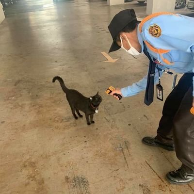 arin_3592's profile picture. INFP?INFJ
독서벼락치기중, 영화편식중
항상 도망치고싶읍니다