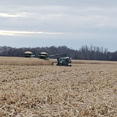 ReedErickson1's profile picture. local farm kid with big city dreams.