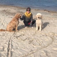 Debra Raymond (@raymond19deb) 's Twitter Profile