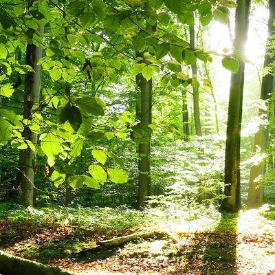 Marit31504294's profile picture. amo a jesus