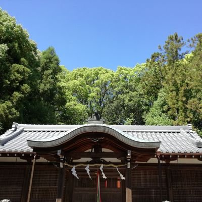 sunday_Yamasi's profile picture. 配当大好きの投資家です。2016年、投資信託でデビュー、右往左往して2019年に本格的に個別株にシフトして今に至る。
今は152銘柄保有しています。25年11月現在、
日本株は120銘柄
米国株は32銘柄です。
資産配分は日本株9対米国株1です。
バイ・アンド・ホールドを旨としてます。