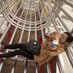 Alice (@jessicazhuzhu) Twitter profile photo Alice (@jessicazhuzhu) Twitter profile photo