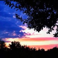 🇺🇸Morgan Ernst🇺🇸 (@morganernst44) 's Twitter Profile Photo 🇺🇸Morgan Ernst🇺🇸 (@morganernst44) 's Twitter Profile Photo