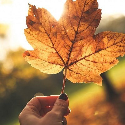 c_grov's profile picture. Se habrán dicho muchas cosas, se habrán escrito muchos libros, pero mientras tu corazón no lo sienta, nada sabrás del amor verdadero